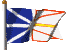 Newfoundland Flag
